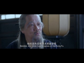 the kungfu master / ba gua zong shi (2012) dvd screener